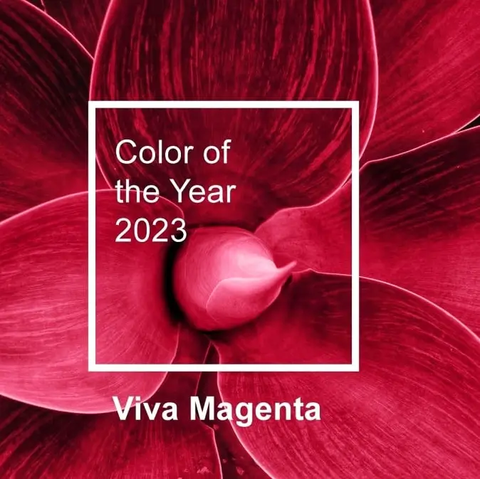 Projekt-ogrodu-w-najmodniejszym-kolorze-Viva-Magenta-4